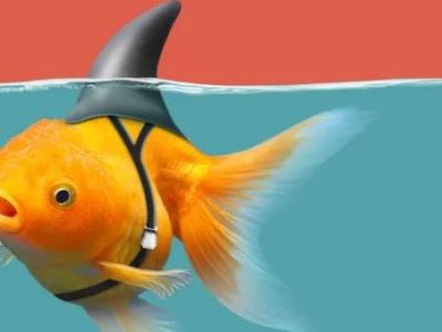 The Illusion of the ‘Healing&nbsp;Journey’